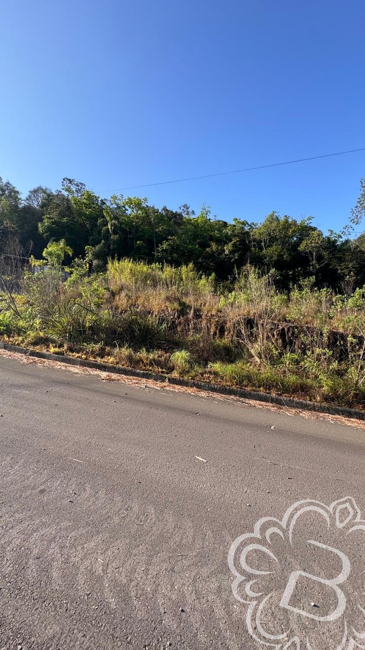 https://www.imoveisbliss.com.br/img/m/0/0/arquivos/1421eccd018bce6135c9c7b9ad35586278202e44.jpg