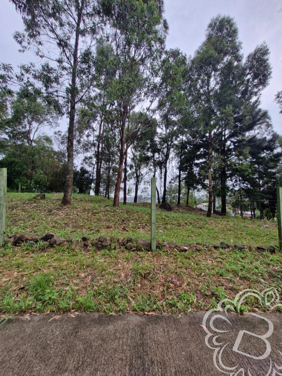 https://www.imoveisbliss.com.br/img/m/0/0/arquivos/5bb2b0b360c5c6c5b1faad62748090071eb751cc.jpg