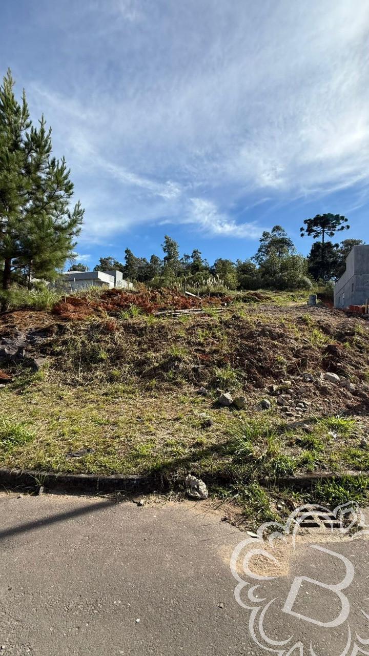 Terreno em loteamento Terra Nobre