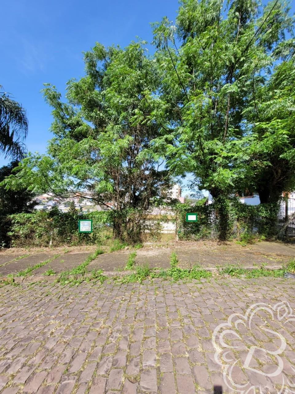 https://www.imoveisbliss.com.br/img/m/0/0/arquivos/8f750d9582c4c88d0b519c8709b0c1a6109d0967.jpg