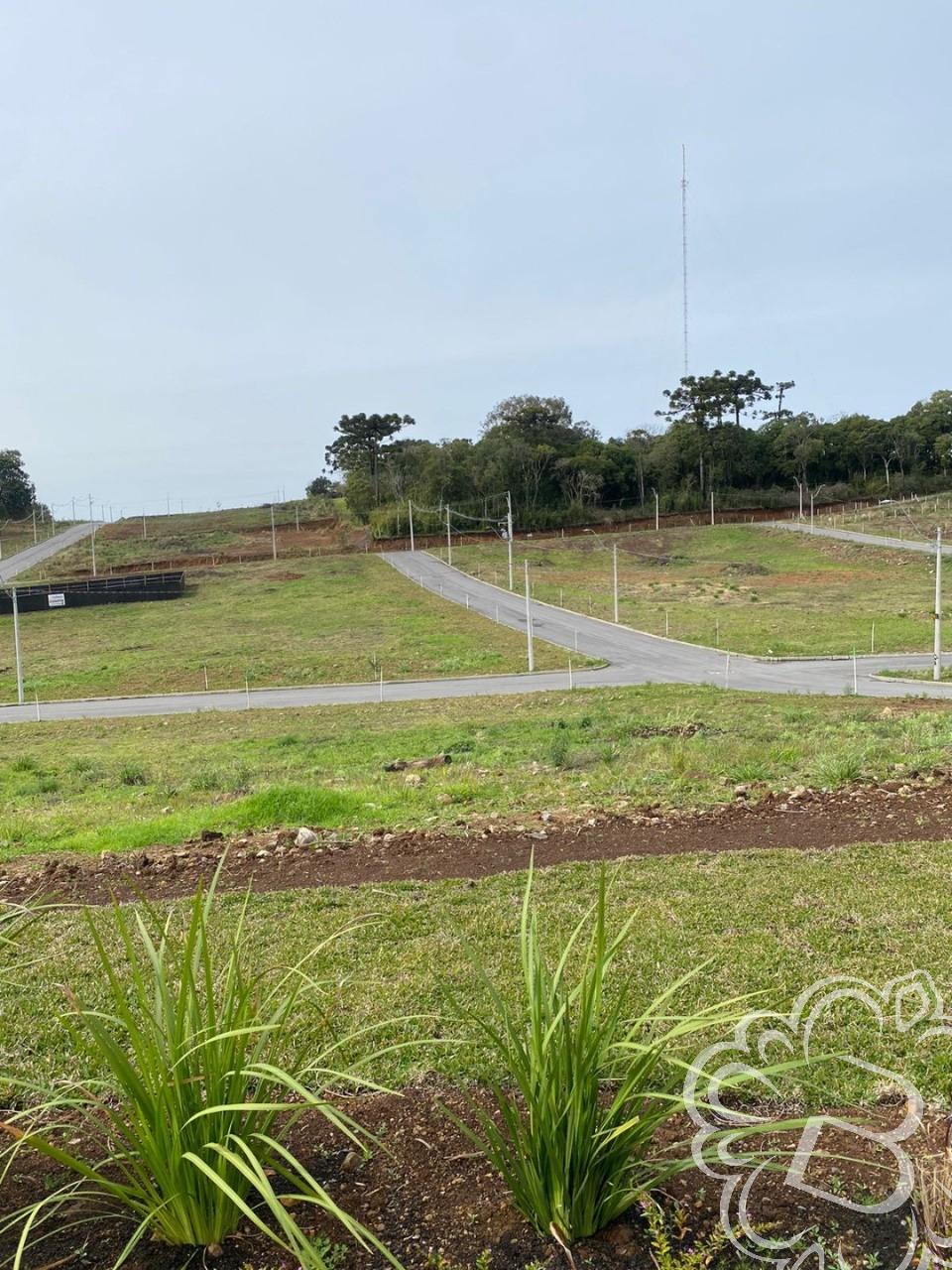 Terreno em Loteamento Residencial Mountain Village 