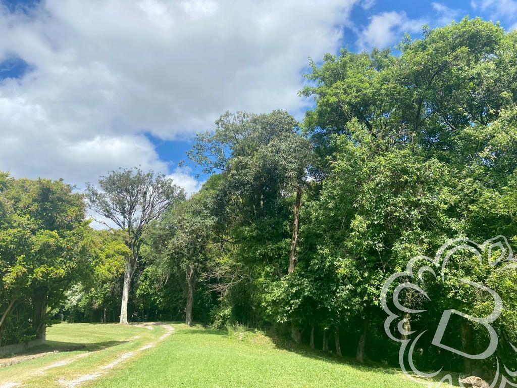 https://www.imoveisbliss.com.br/img/m/0/0/arquivos/a9f86f088a1318bb2177e01889508452609227d7.jpg