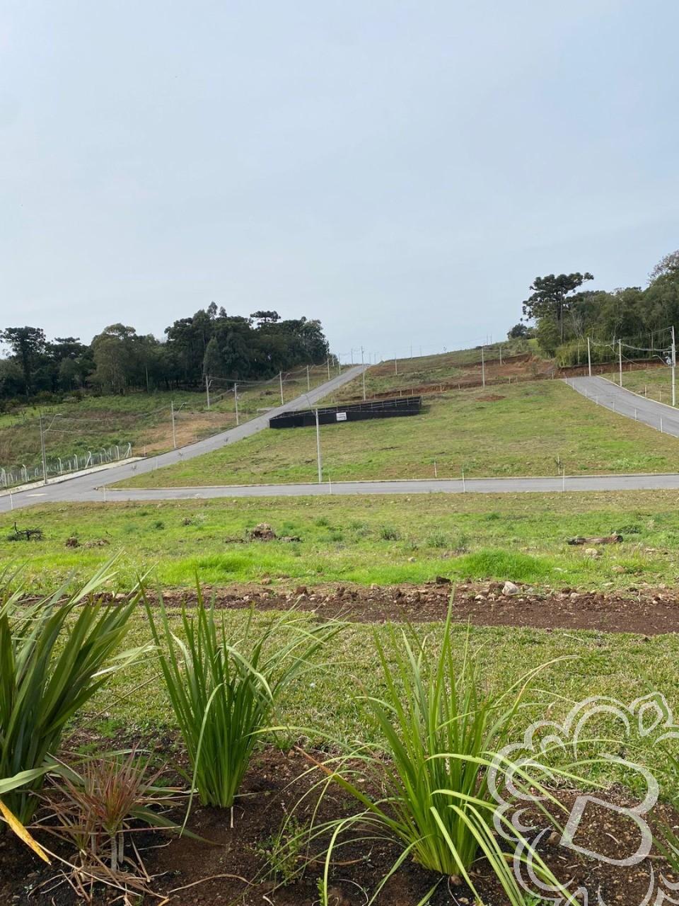 Terreno em Loteamento Residencial Mountain Village 