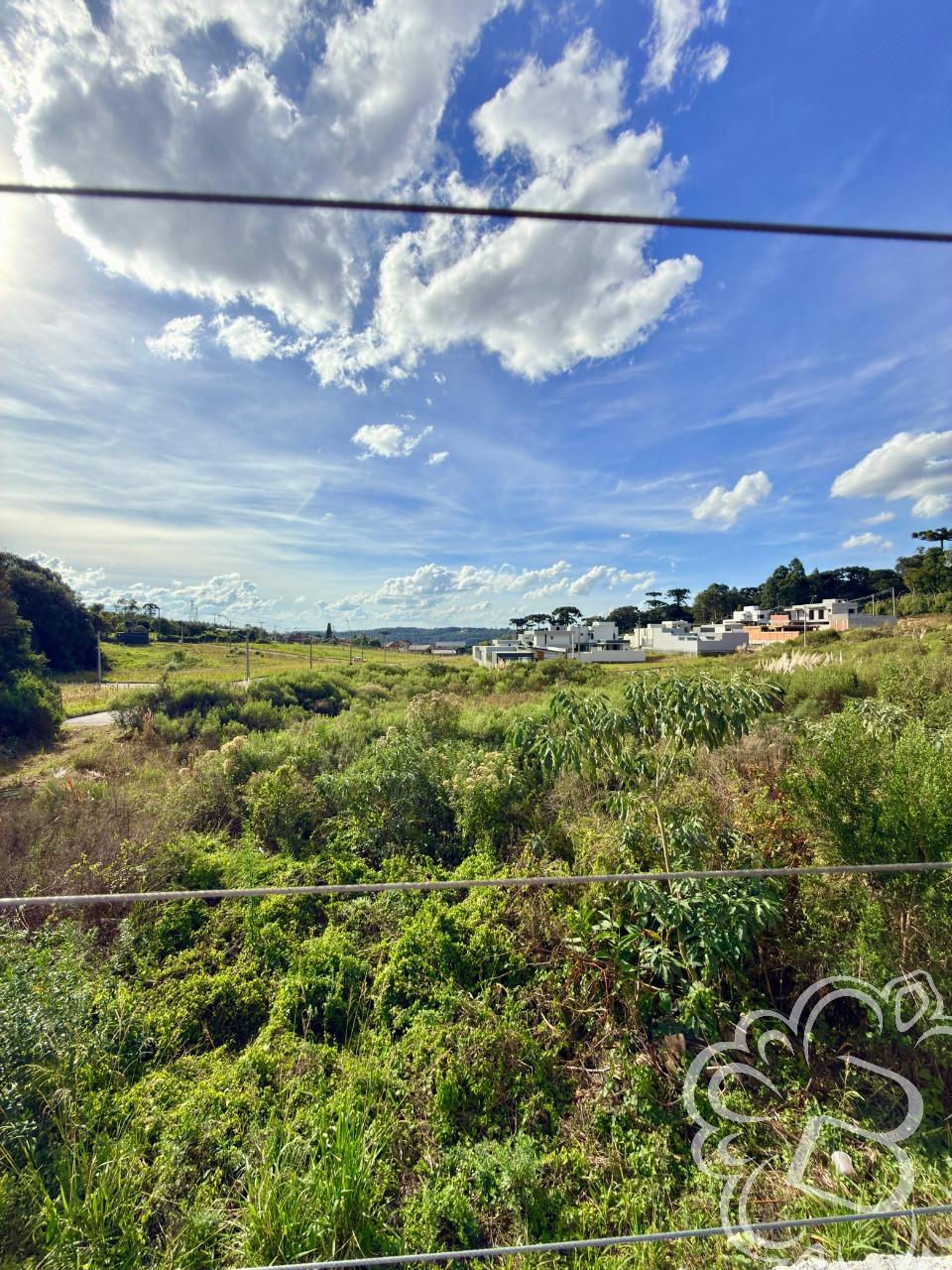 https://www.imoveisbliss.com.br/img/m/0/0/arquivos/b4912b18602408154cad137c79b9fe3afe1063c6.jpg