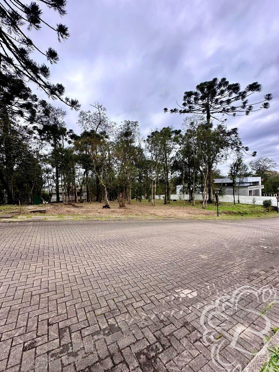 https://www.imoveisbliss.com.br/img/m/0/0/arquivos/d63e7451edb7d6c2df828d58f310ea8d65663a30.jpg