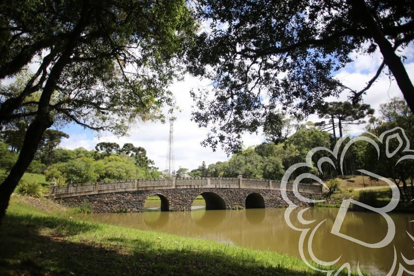 https://www.imoveisbliss.com.br/img/m/0/0/arquivos/dfaf8d628cfd449636ca8e149daafef7a1baac4a.jpg