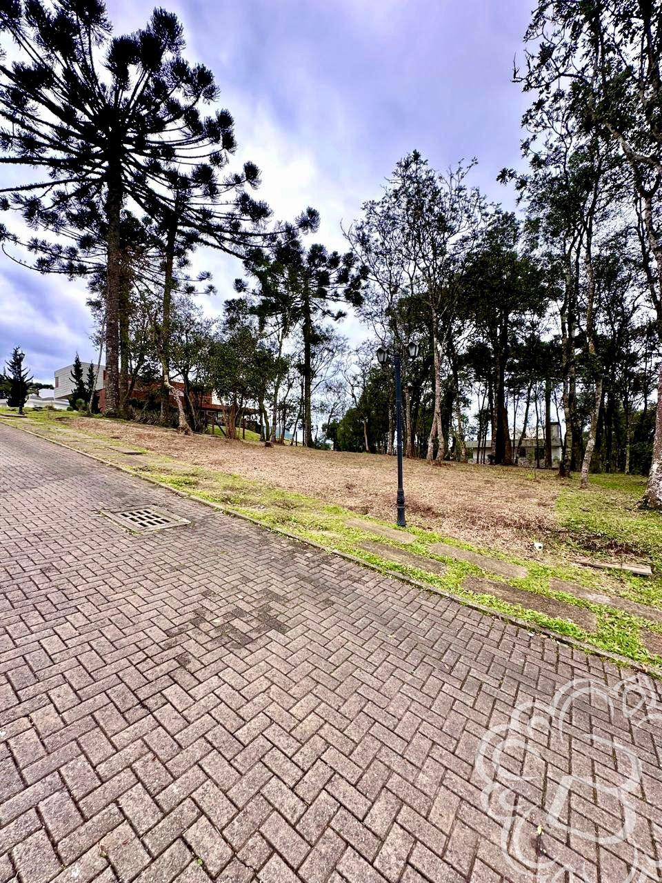 https://www.imoveisbliss.com.br/img/m/0/0/arquivos/e94898a4af50ae9855568d3e590b0e353242637f.jpg