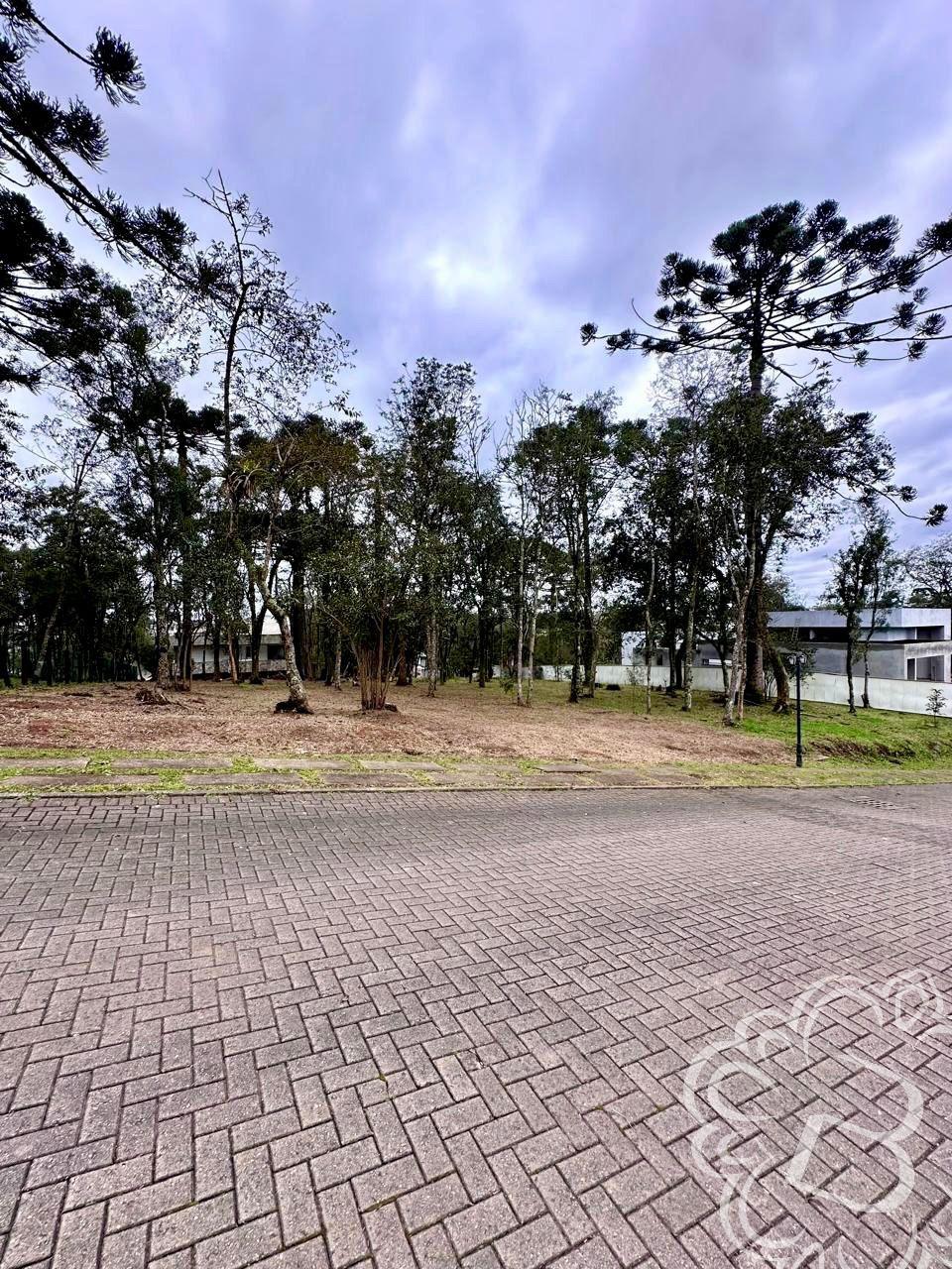 https://www.imoveisbliss.com.br/img/m/0/0/arquivos/f239ea2d62fb2f6d40fdd0baffbff872f594b1b5.jpg